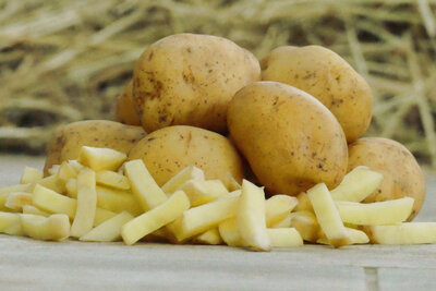 Pommes de terre spéciales frites 3kg