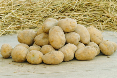 Pommes de terre toutes recettes10kg