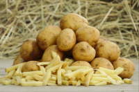 Pommes de terre spéciales frites 20kg