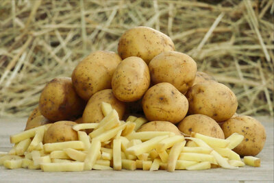 Pommes de terre spéciales frites 20kg