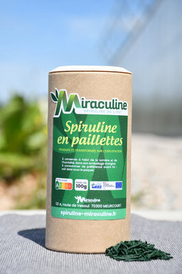 Spiruline en paillettes