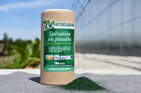 Spiruline en poudre