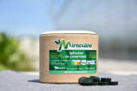 Spiruline en comprimés