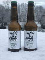 Bière à la spiruline