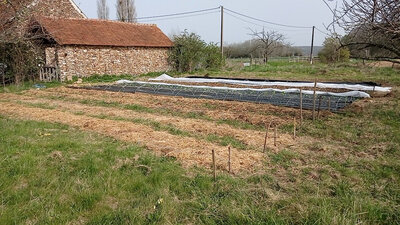 Coaching au potager