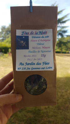 Les fées de la nuit