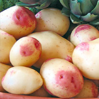 Pommes de terre carolus