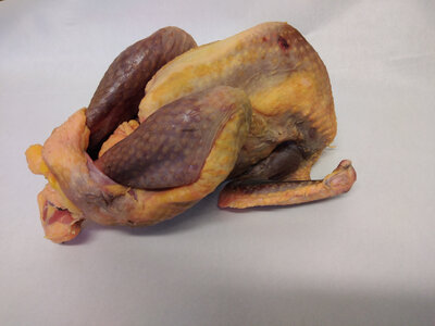 Pintade fermière