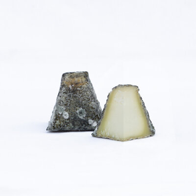 Pyramidon chèvre
