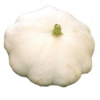 Patisson blanc bio 1.5 kg mini