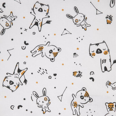 Coupon lapin espace