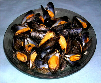Moules de cordes  fraîches de pays