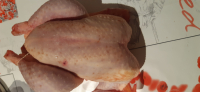 Poulet prêt à cuire 1,7kg