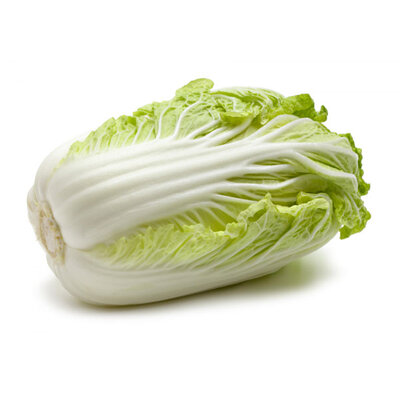 Chou chinois bio