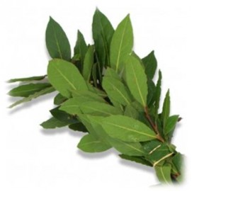 Bouquet de laurier bio (la pièce)