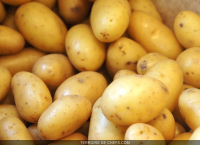 Pomme de terre desiré bio