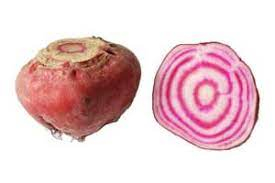 Betteraves chioggia cuites