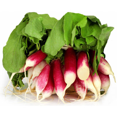 Botte radis rose (la pièce)