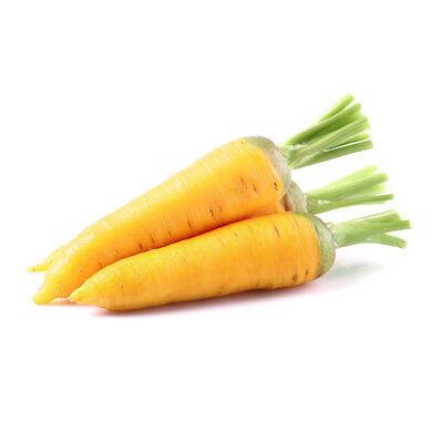 Carotte bio jaune