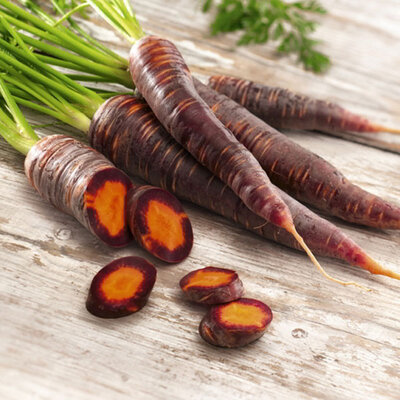 Carotte violette bio