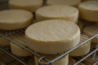 Munster fermier bio au lait cru aop