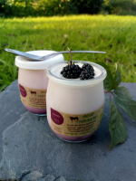 Le yaourt sur lit de mûres 125g