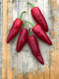 Piment gorria