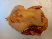 Poulet fermier vidé prêt à cuire (1,5à1,6kg)