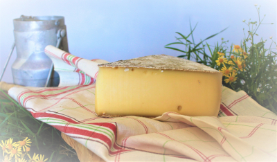Tomme grise de montagne