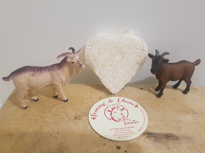 Coeur de joyce