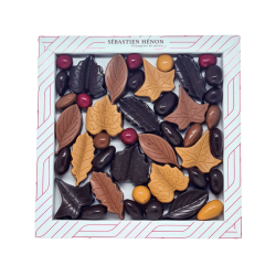 Feuilles d'automne