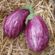 Aubergine - image 4