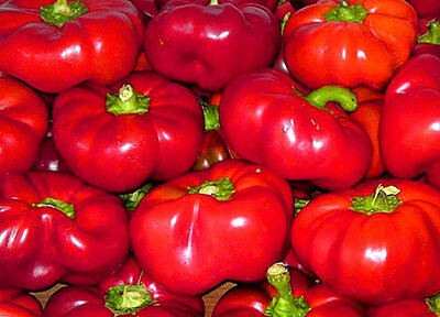 Poivron tomate