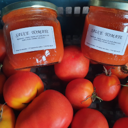 Sauce tomate