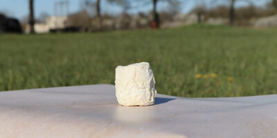 Fromage mi-sec de chèvre