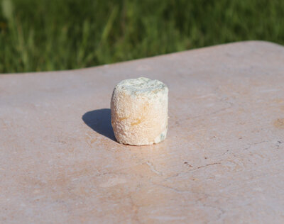 Fromage sec de chèvre