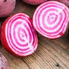 Betterave chioggia