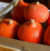 Potimarron 1.20 kg env. (+ ou - 200g)