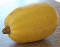 Courge spaghetti env. 2 kg (+ ou - 200g)