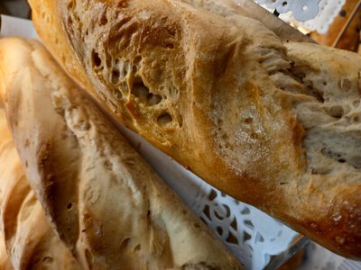 Petits pains au lait et farine d'epeautre