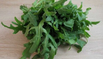 Roquette bio