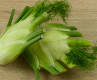 Fenouil de petite taille 500g