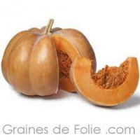 Courge musquée de provence (1 tranche de 1kg)