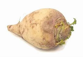 Rutabaga