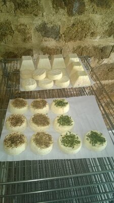 Palet chèvre-pempa