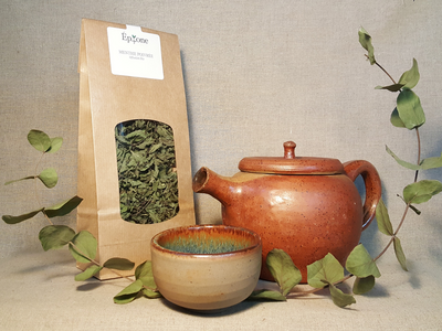 Infusion menthe suisse