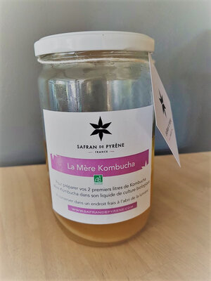 Mère kombucha (scoby)