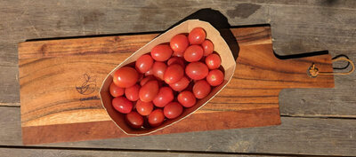 Tomates cerises rouges