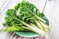 Blettes petites feuilles bio