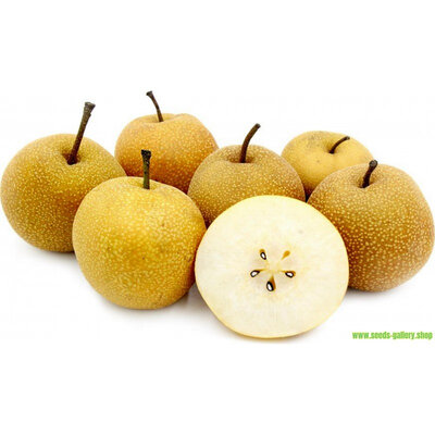 Nashi-ou pomme/poire-à la pièce